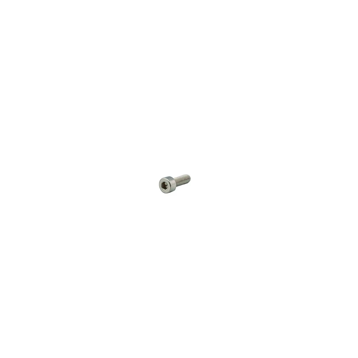 Rancilio 37060413 Screw M 4 X 12