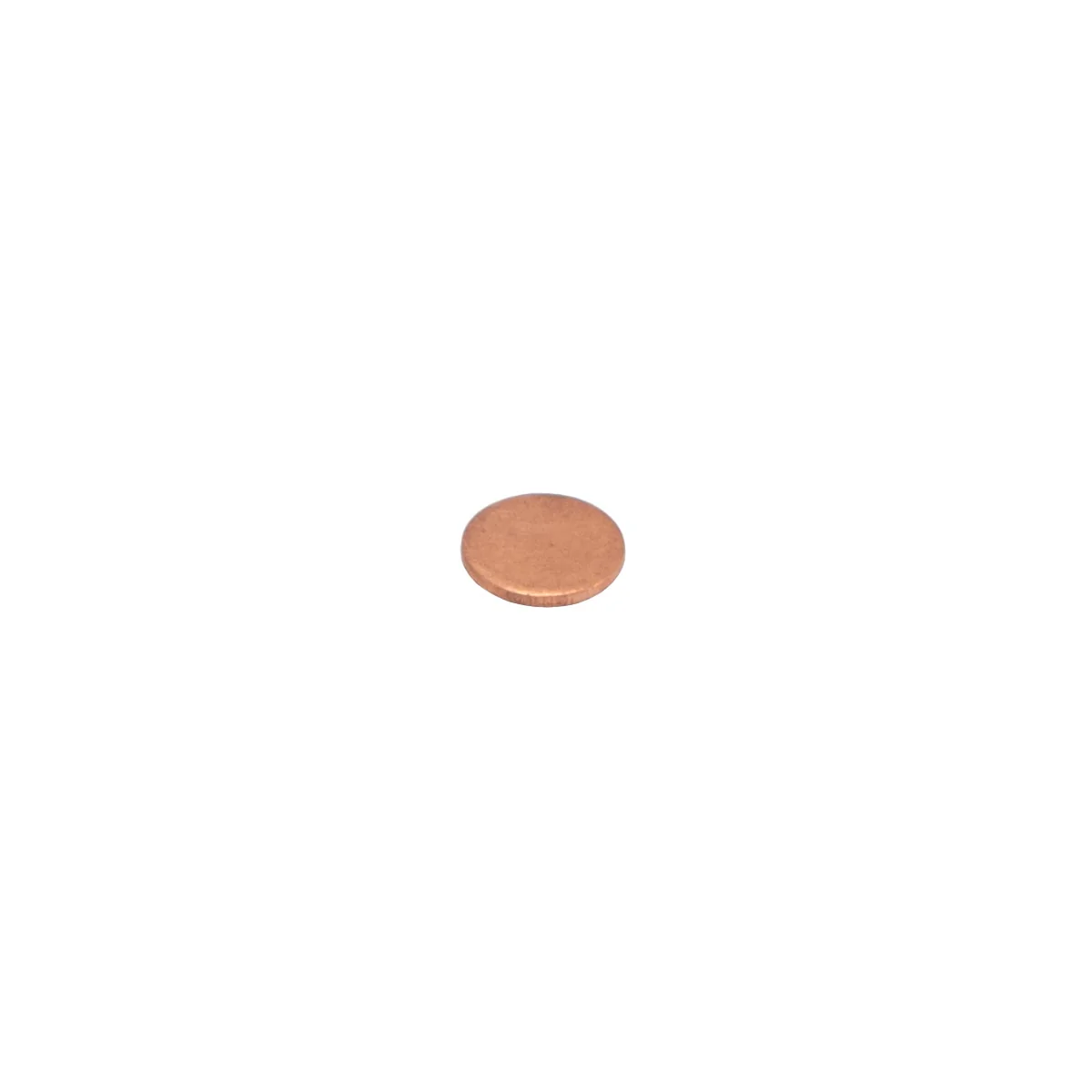 Rancilio 23125029 Blind Restrictor D.14,5 Sb | Fits Classe 5 S & More