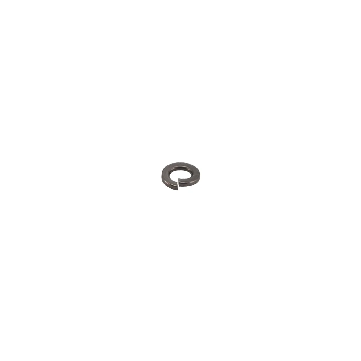 Rancilio 37420601 Elastic Washer D. 6 | Fits Egro One Pure Coffee & Egro Next