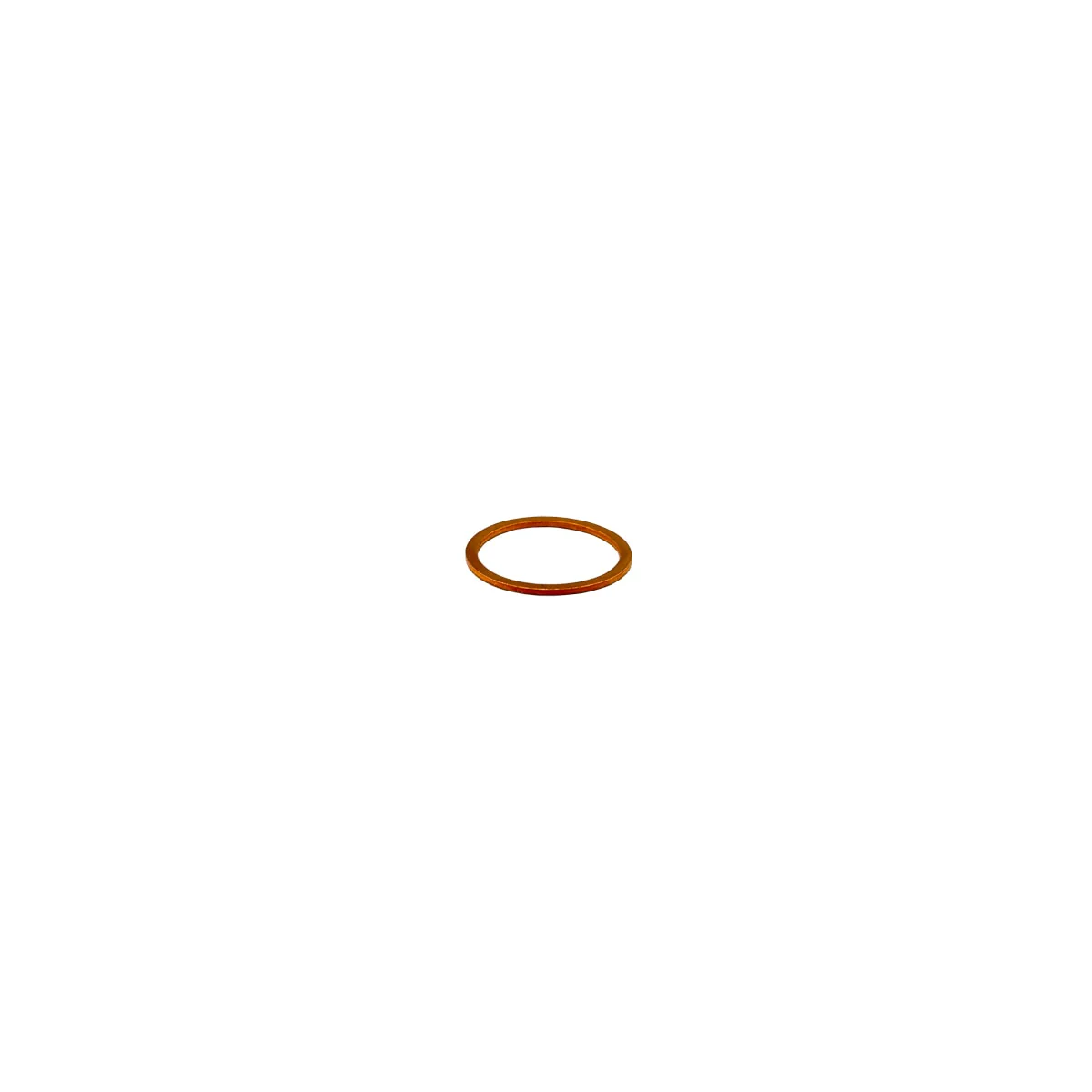 Rancilio 27400001 Gasket Copper Compass Re Group | Fits Classe 5 S & More