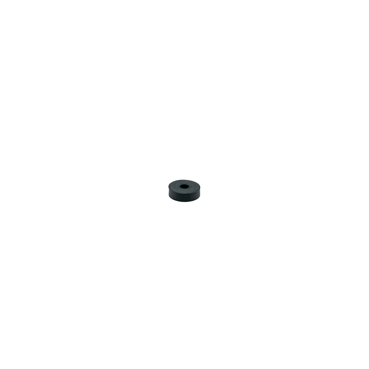Rancilio 36302002 Gasket Past Valve