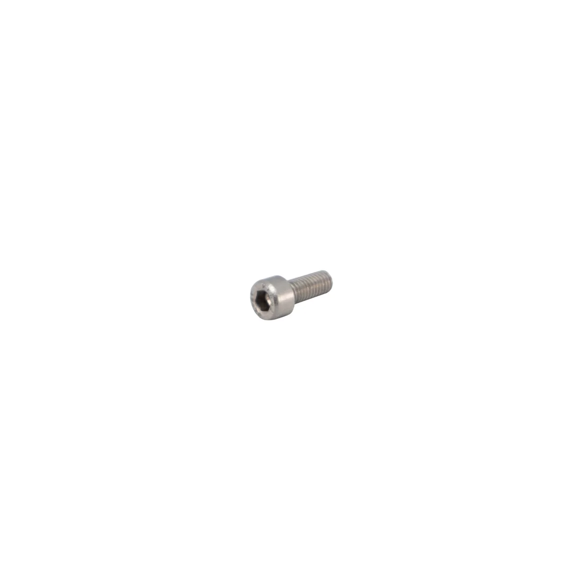 Rancilio 00000932 Hex Socket Head Screw M5 X 12 Mm | Fits Kryo Evo