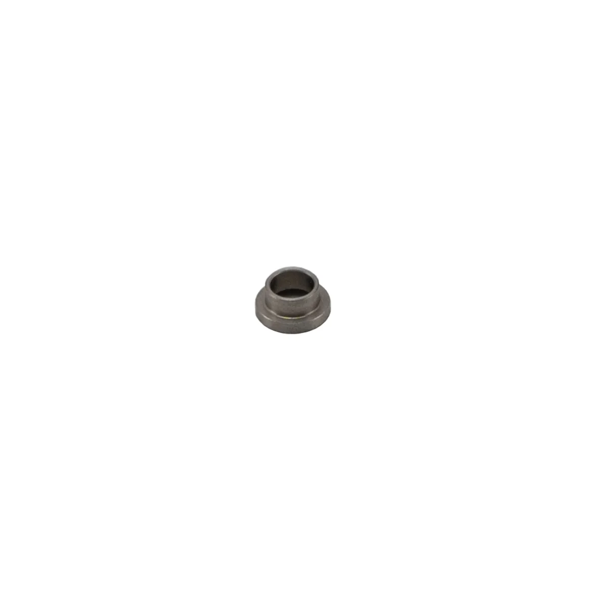 Rancilio 25119005 Nsf Cock Spring Guide