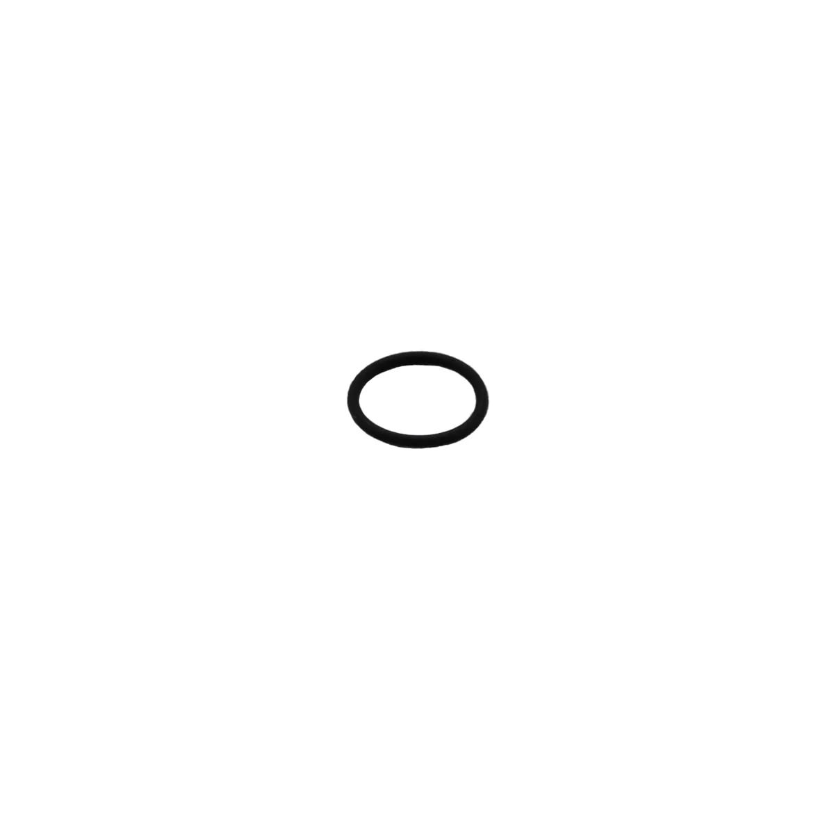 Rancilio 00100013.001 O-Ring 17,17 X 1,78 F
