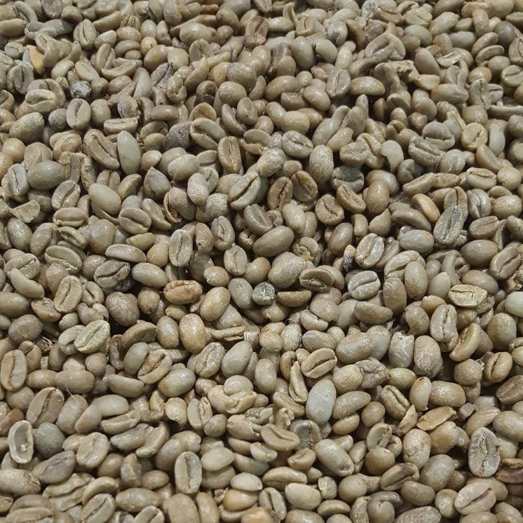 Organic Fair Trade Ethiopian Harrar Green Coffee Beans (Not Roasted)