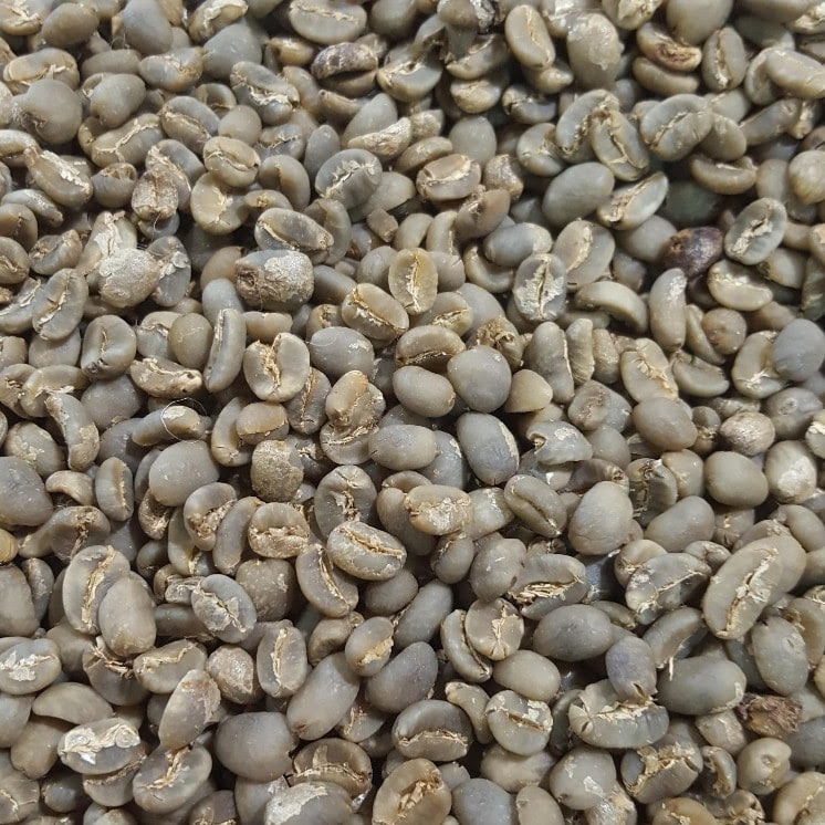 Organic Sumatran Green Coffee Beans (Not Roasted)