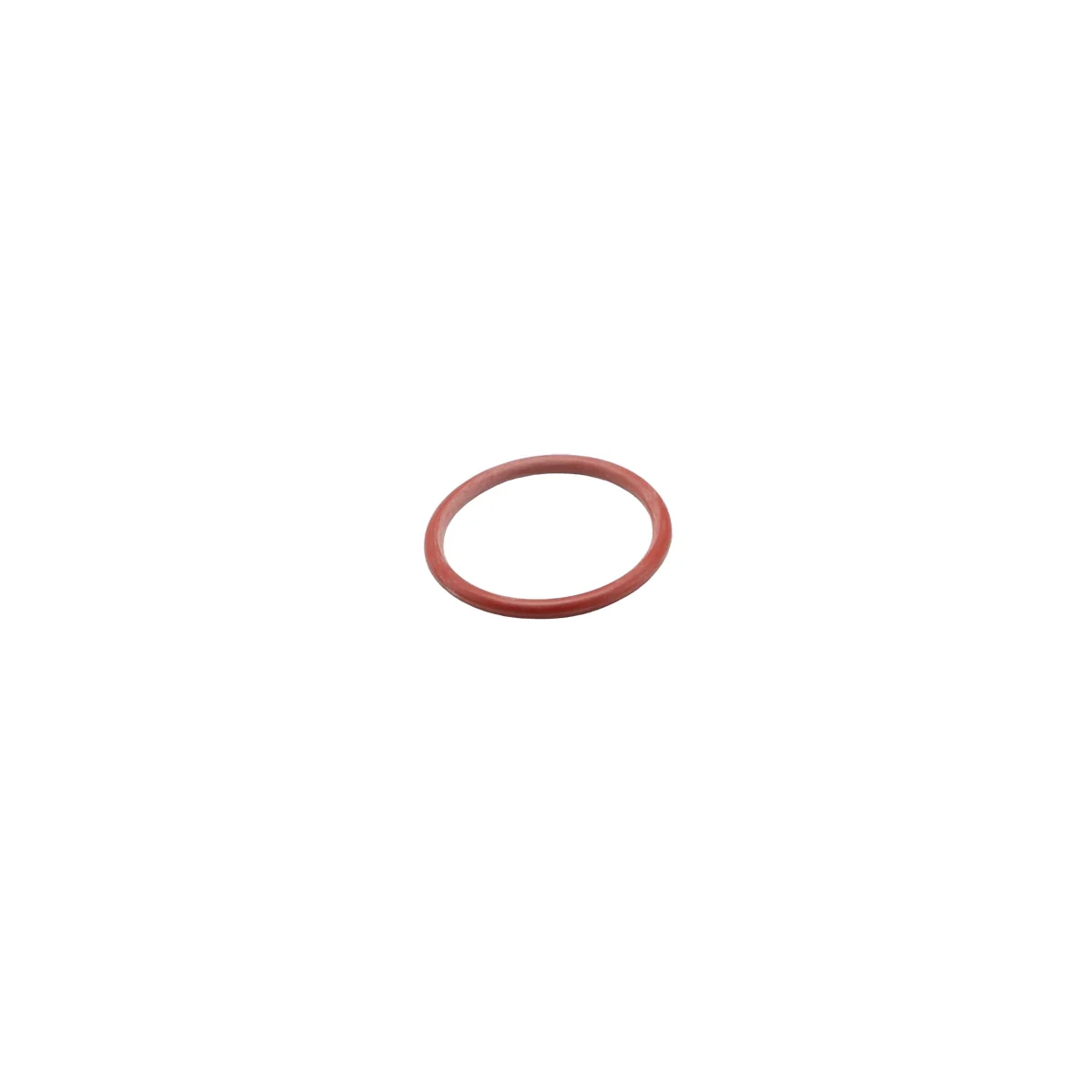 Rancilio 36404024 Oring 37,69X3,53 80Sh | Fits Egro Next