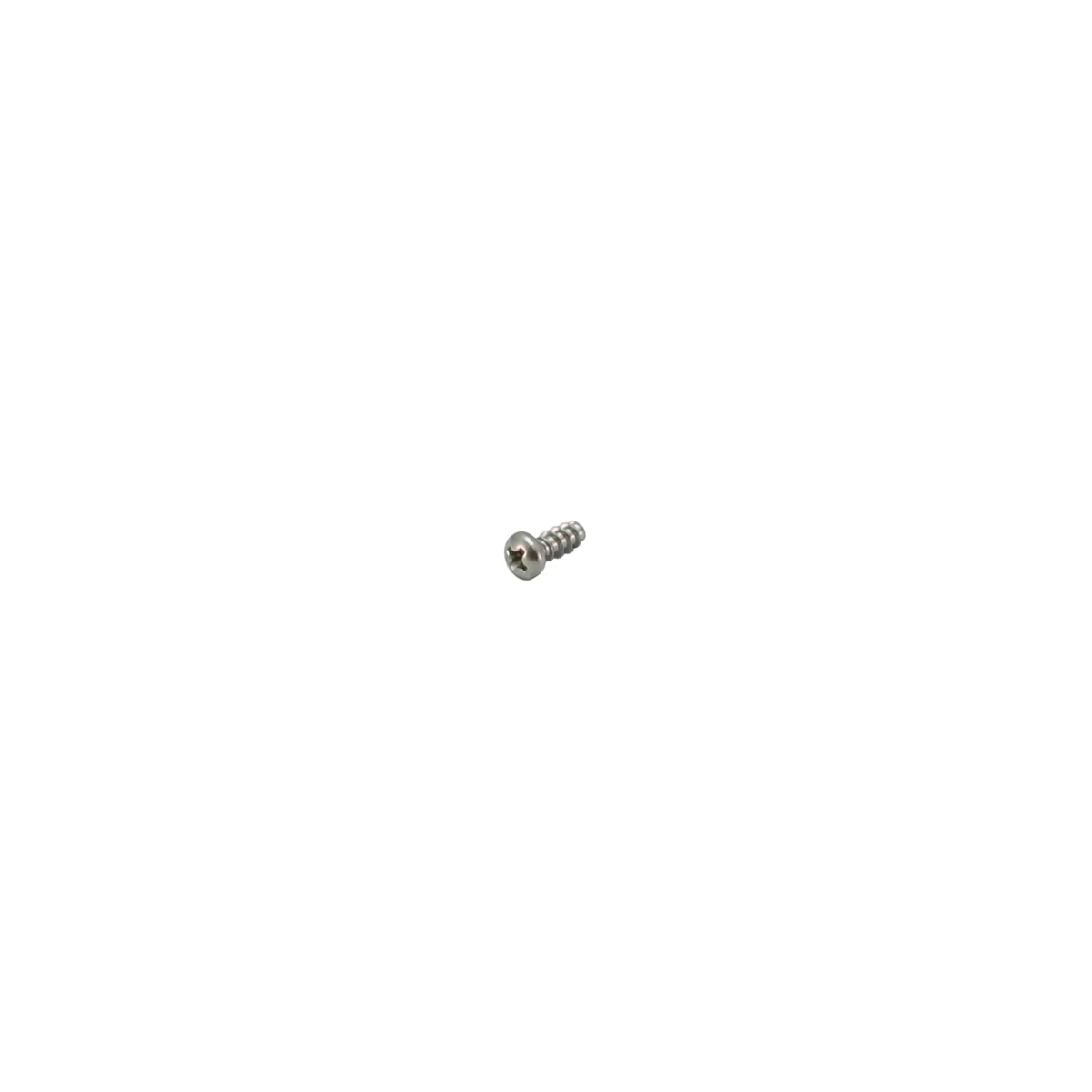 Rancilio 37155011 Screw Atf Pt 4X10 Tcb Ph Inox