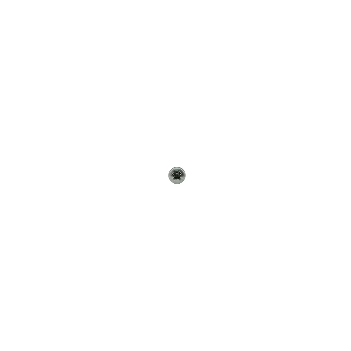 Rancilio 37030408 Screw M 4 X 8 | Fits Classe 5 S, Classe 5 USB & More