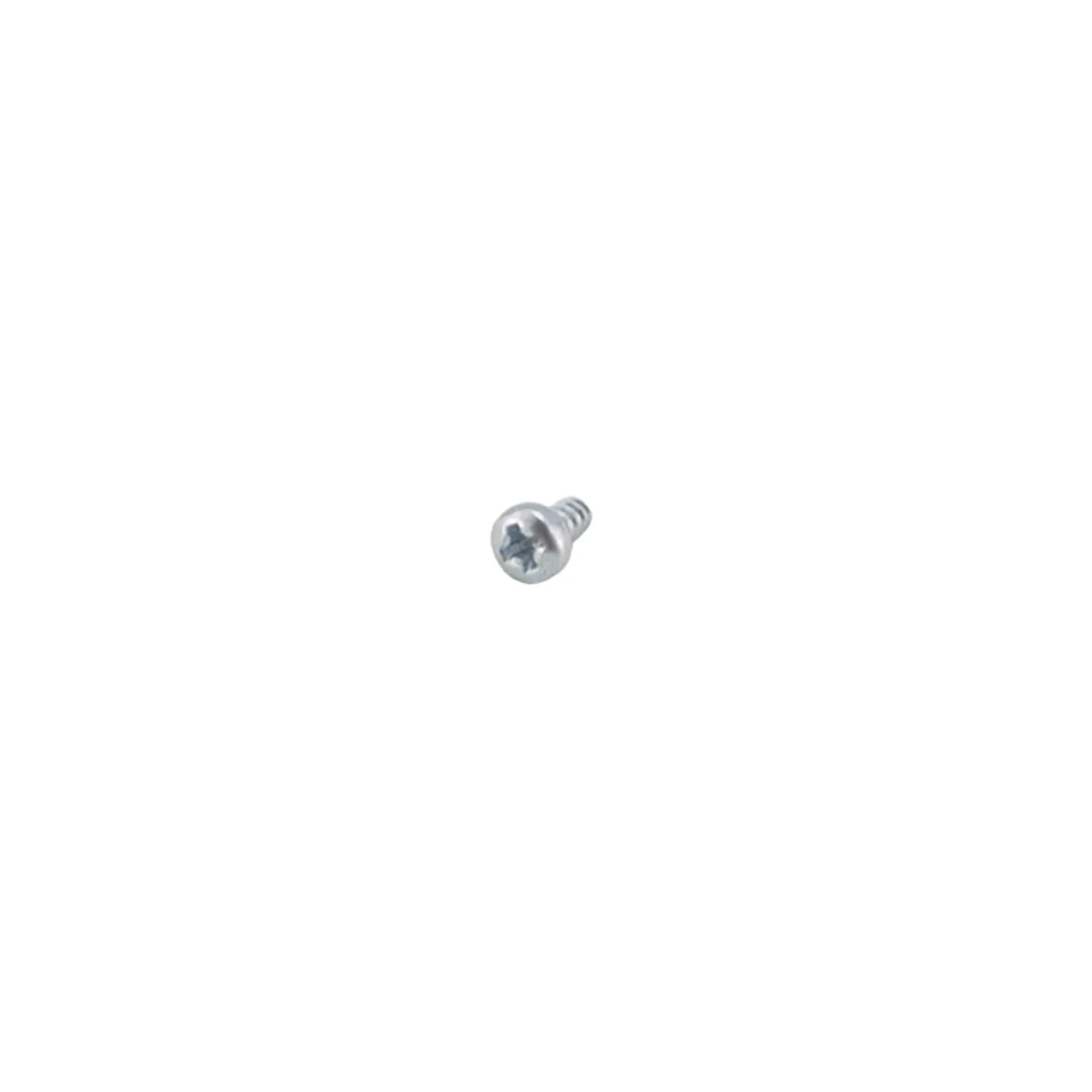 Rancilio 62100000089 Screw Tc 2,2X4,5