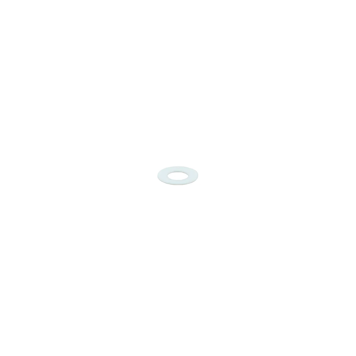 Rancilio 36230001 Teflon Washer | Fits Classe 5 S, Classe 5 S 1GR & More
