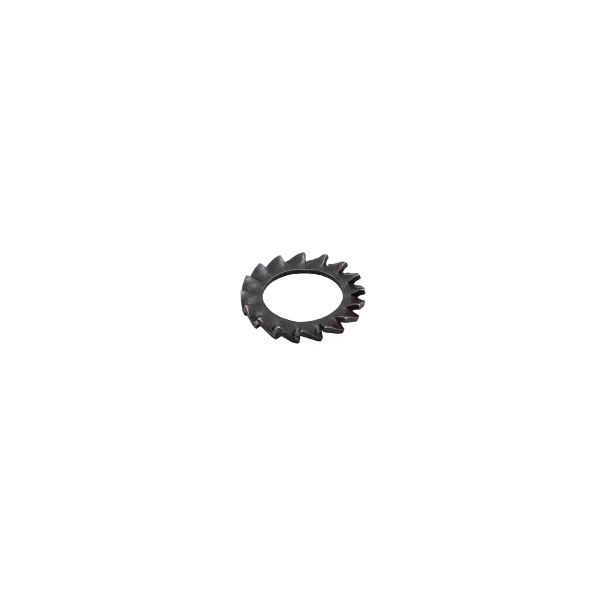 Rancilio 37431200 Toothed Washer D. 12,5 | Fits Egro One Pure Coffee