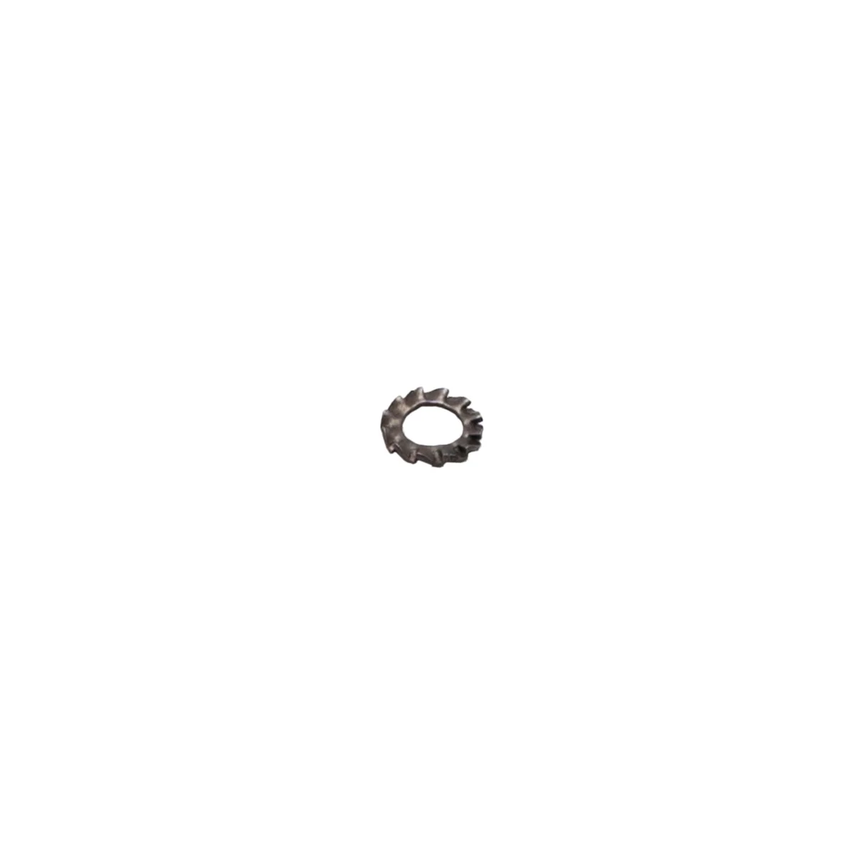 Rancilio 37430600 Toothed Washer D. 6 | Fits Classe 5 S 1GR, Classe 5/1 & More